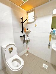 Blk 117A Tenteram Peak (Toa Payoh), HDB 4 Rooms #452072111